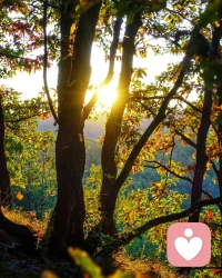 愿你：日出有盼，日落有念，有衣曖身，有人暖心。????配圖