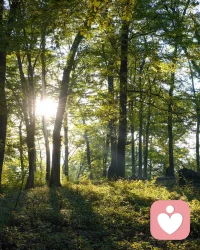 愿你：日出有盼，日落有念，有衣曖身，有人暖心。????配圖