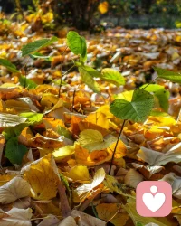 愿你：日出有盼，日落有念，有衣曖身，有人暖心。????配圖