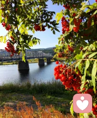 “有智慧的人真正關心的是看清真相以及了解問題，而不是從成功或失敗的角度來思考。只有在我們并不是真的愛自己所做的事情時，我們才會以成功或失敗的觀點來考慮事情。”——克里希那穆提???配圖