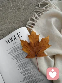 錢，最后都流向了不缺錢的人，愛，最終都流向不缺愛的人。愿我們自身擁有安頓，因為自己沒有的東西，走遍天涯海角，問誰，也不會要到！配圖