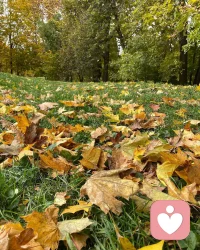 潛意識怎么“破”？其實，潛意識正是通過這一次次自我認識的刷新，而可能被“破”掉。“破掉”潛意識，就是把潛意識的內容，提升到意識層面來，當這份覺知發生的時候，改變就發生了。配圖