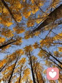 潛意識怎么“破”？其實，潛意識正是通過這一次次自我認識的刷新，而可能被“破”掉?！捌频簟睗撘庾R，就是把潛意識的內容，提升到意識層面來，當這份覺知發生的時候，改變就發生了。配圖