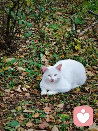 關于自我靈活度的提升，我的經驗是，關鍵在于感性。因為靈活度差的人，常常會用理性的頭腦把自己包裹起來，所以不斷地去學習變得更感性，是一個辦法。配圖