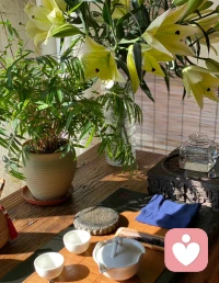 人本主義心理學(xué)認(rèn)為，無(wú)論是成為你自己，還是自我實(shí)現(xiàn)，其中都有一個(gè)關(guān)于自我的看法：人最寶貴的，就是你自己。所以生命中最重要的，就是把你自己活出來(lái)，而不是被文化規(guī)范所教化。
蘋果公司創(chuàng)始人喬布斯在他著名的斯坦福大學(xué)演講中也說(shuō)，要遵從你的感覺(jué)，而不是按照教條生活，因?yàn)榻虠l，都是別人思考過(guò)的東西。配圖