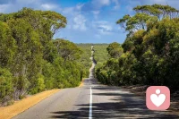 人本主義心理學家羅杰斯認為，自我，是一切體驗的總和。體驗與思維，是實體與鏡像。思維因為可以形成文字，可以有邏輯，所以被人類重視，但要了解一個人，你必須碰觸到他的體驗。配圖