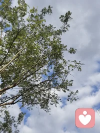 心流（flow），指一種人們沉浸在某行為過程中的意識狀態(tài)。如藝術(shù)家在創(chuàng)作時所表現(xiàn)的沉浸狀態(tài)。在此狀態(tài)時通常不愿被打擾，抗拒中斷。這是一種將個人精神力完全投注在某種活動上的體驗。心流的同時會有自發(fā)產(chǎn)生的高度興奮及充實感。
新的一周，愿大家工作都可以輕松而高效的工作！配圖