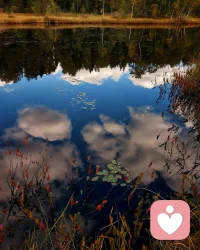 弗洛伊德說，人必須學會表達自己的攻擊性，否則就會生病。表達有兩種，真實的表達和象征性表達。
如果你有壓抑的情緒不知如何更好的處理，可以找我聊聊……配圖