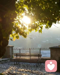 人生一世，最好的狀態(tài)就是，低配你的生活，高配你的靈魂，年齡只是符號，把生活調(diào)到你喜歡的頻道，每一段時光都藏著不可復(fù)制的美好。

周末，歡喜愉悅！配圖