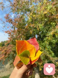 決定一個人的命運的不是性格，不是能力，而是心智的提升。【心智提升分為七個階段：1、對自己的行為毫無察覺和反思，行為完全依托自身本能。2、開始關注行為背后的原因，思考為什么會這么做。3、逐漸接納自己減少內耗，心態趨于平和。4、長期覺察和自我關注，行為開始趨于知行合一。5、進入穩定的專注狀態外界很難再干擾到自己。6、生命力創造力逐漸增強。7、開悟階段，會找到人生高級使命感和目標專注恒久為之奮斗。】配圖