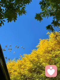 決定一個人的命運的不是性格，不是能力，而是心智的提升。【心智提升分為七個階段：1、對自己的行為毫無察覺和反思，行為完全依托自身本能。2、開始關注行為背后的原因，思考為什么會這么做。3、逐漸接納自己減少內耗，心態趨于平和。4、長期覺察和自我關注，行為開始趨于知行合一。5、進入穩定的專注狀態外界很難再干擾到自己。6、生命力創造力逐漸增強。7、開悟階段，會找到人生高級使命感和目標專注恒久為之奮斗。】配圖