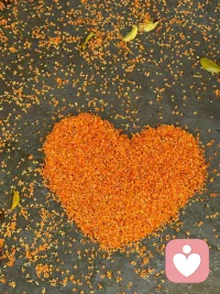 做事，提倡的是“目標、行動和方法”，而與之相反的則是“立場、對錯和意見”。前者讓人導向行動，并在行動中變得強大，后者讓人躑躅不前。所以，如果你是優柔寡斷的，你可以倒回去想一下，“目標”、“行動”和“方法”這三件事，你少做了什么呢？配圖