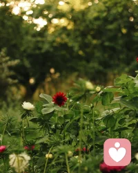 我相信，很多朋友在原生家庭中沒得到這個抱持性環境，但現在，你可以做你自己的“父母”，試試帶著點偏執勁，去追逐一些你特別想追逐的事物，以此來滋養你的本我。配圖