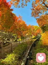 不管怎樣，承受短暫的痛苦，面對真相，以獲得長期的益處，仍然是值得的。保持成長性狀態而非防御性狀態，是每一個渴望成為自己的人都需要做到的事情。——張沛超配圖