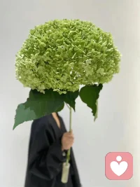 氣不足則多疑，精不夠則亂心，神不夠則無眠。
每天心亂如麻，做什么事都擔心得不到回報，內心充滿了懷疑和沖突，身體的能量全部都變成了各種情緒，這樣的狀態即使是去做一點點事，都會讓人身心疲憊，這是在消耗自己的生命。配圖