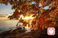 每個人一出生就有一個精神胚胎，精神胚胎發(fā)育的養(yǎng)料是感覺。并且，精神胚胎會自動指引一個人去做事情，所以孩子們的自發(fā)行為，都有深意。

如果父母強(qiáng)加自己的意志在孩子身上，否定孩子的感覺，就是破壞了孩子的感覺，也破壞了孩子和事物直接建立關(guān)系的能力。配圖