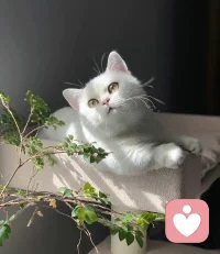 “正視寂寞，并與它相處，明白它所蘊涵的意思，這樣你從心理上、從內心里不再依賴任何人，然后你就會知道愛意味著什么。”——克里希那穆提???配圖