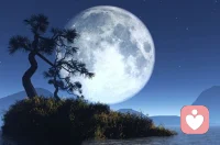 幸福的路徑其實也很簡單：認真地活著，自已搞不定就找人幫忙。一會奇峰配圖