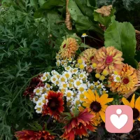 如果人生如游戲，那這場游戲也有境界之分：

低境界，把人生的一切都看成是嚴肅的、不可游戲的。

稍高境界，把學習、工作之類嚴格跟游戲分開，一時拼命學習工作，一時盡情玩樂。

最高境界，內心不再有游戲和非游戲之分。以游戲之心做養家糊口的事，也以做大事之心游戲，心神不再因事而分離。配圖