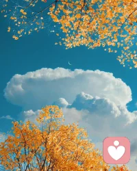 人世間最大的幻相就是我們自以為可以控制一切，其實事實正好相反，我們什么都控制不了，只能好好享受每個當下。???

結束今天最后一個咨詢在無特殊情況下，23：30前休息，夜夢吉祥～配圖