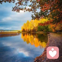 人應該是從喜歡里得到快樂和力量而不是花光所有力量和快樂去喜歡?配圖