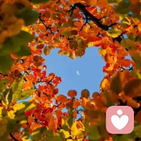 人生，最有用最好用的東西，也許就是人的視角，看待這個世界的視角，看待自己的視角，與別人共情的視角。

多數(shù)時候，只要能換一種視角，立刻就可以解決問題。每一次真實(shí)的成長，都包含著新視角的誕生。

比如，享受過程，其實(shí)就是一種視角；活在當(dāng)下，也是一種視角。

視角，不僅僅是眼睛所及的，而是心智去連接到的。配圖