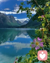 關系就是一切，一切都是為了關系，我們不能離開關系而獨活。但是，我們的確需要去分辨，一個關系，到底是滋養性的，還是損耗性的。衡量標準就是在這個關系中，有多少無條件積極關注，又有多少有條件關注；有多少“我與你”的成分，又有多少“我與它”的成分。配圖