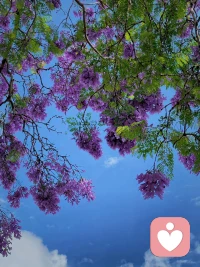 為什么有的夫妻是互補型？

當一個人的意識，和自我的一部分特質(zhì)徹底失去聯(lián)系時，這個人就會受潛意識的支配，去接近一個明顯具備這一特質(zhì)的人，通過和這個人聯(lián)系，而去碰觸自己內(nèi)心的這一部分。這是人的心靈無比深刻的一個規(guī)律，不管你是否能意識到，它都在發(fā)揮著作用。配圖