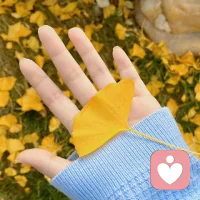 人們通常認為，戀愛是為了追求幸福和快樂。但其實，戀愛甚至人生的更大動力，是追求人性上的圓滿，于是會出現各種痛苦的選擇，而痛苦最終是為了融合人性的不同部分，最終趨向人性的完整。配圖