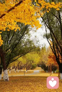 癥狀或問題的到來，是一個信號，它在提醒我們，我們偏離了生命的道路；

癥狀是在召喚我們，學會放下包袱，不再負重前行，輕裝上陣，放松下來。配圖