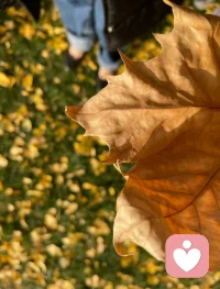 榮格的一個觀點是，世界上人類呈現的一切，都是你的內心。所以他提出了一個觀點：將世界上的一切凝聚于己心。當然，在榮格的自我修煉中是這樣做：觀察自己內心的一切活動，如實如是。當這樣做時，就是在用覺知的光照亮內心的一切。
這是一個極度刺激的過程，你會看到，內在想象比外部世界還要復雜、可怕與殘酷，當然也無比美妙。配圖