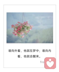 你生命的前半輩子或許屬于別人，活在別人的認為里。那把后半輩子還給你自己，去追隨你內在的聲音。配圖