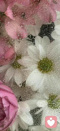 你的性格，是在關系中形成，你所認為的自我、人格或性格，其實很大部分是來自于別人如何看待你。也就是說，別人就是你的鏡子，這個鏡子如何看待你，你就真以為自己是怎樣的了。

萬物皆虛，當你意識到，你所認為的“自己”，其實是別人眼中的你，這是不是太虛幻了；

萬物皆實，一個人的內在心靈必須借助于外在關系，也就是別人的看見，才能發展，所以自我與關系，又是那么真實。配圖