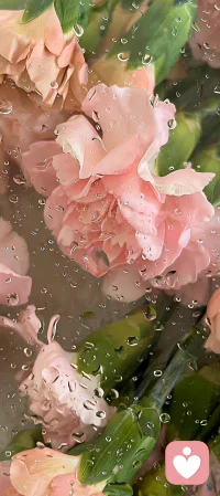 美國心理學家科胡特的一個標準：心理健康就是“自信+熱情”。當活力能夠滋養自體時，就是自信；當活力能夠滋養客體時，就是熱情。配圖