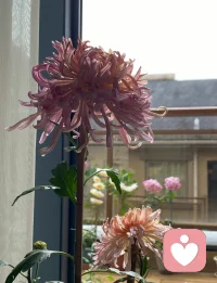 一个人必须要拥有对于自己念头和行为的觉察力，才能让自己时时刻刻都清醒自己现在正在做什么，才不会任由大脑里的各种套路和程序，来决定着自己不停地陷入一些什么毫无意义的事情里，且无力自拔。
这样，自我管理，才能真正变成了一件可以做到的事情。配图