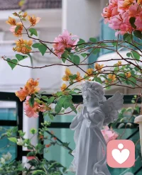 永远不要舍弃灵魂中那个心高气傲的英雄，一切从尊敬一事无成的自己开始。

——尼采​​​​​​​配图