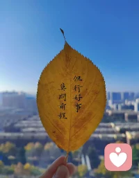 如果你有#职场困惑#，帮你看到#冲突的正面价值#
在企业当中，我们会发现冲突其实有很多珍贵的、正面的价值，冲突可以提供给你一个看事情的新角度，甚至会让你注意到，当初没有注意到的些信息。新的角度会让你看到更多的信息之后，慢慢会发展出团队的疑聚力，冲突也能让你评估自己解决问题能力，更加的会激发你的创造力，同时有冲突之后可能会对彼此更加了解，甚全有可能化危机为转机，所以冲突有这么多的正面价值。欢迎咨询讨论交流您的职场困扰。配图