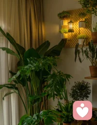 全能自恋是生命的第一动力，人类文明的一切都是它推动的结果，性和攻击性的动力也是它演化的结果。很多人是没有觉知地、在相当程度上停留在全能自恋中，这时觉知到它的存在就非常重要。配图