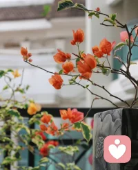 当你接纳了当下，不徒然浪费力气去做无谓抗争的时候，事情往往会有意想不到的转机出现，你才发现原来的挣扎真的是白费力气。

而且，正因为你把能量充分关注于眼前的事物上，有的时候你会发现更好的解决之道，帮助你脱离眼前的困境，或是你不喜欢的情境。​​​配图