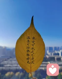 生命真的是有无比清晰的脉络，每种脉络之上都存在无比精妙的法则。

要想让自己活得快乐且深刻，要想领略到生命高处的风景，要想自己活出意义，人生必须得去疏理这些脉络，必须得去理解这些法则，并且让自己依脉络而行远，尊法则而践行自己的行为习惯。

所谓“懂了太多道理仍活不好此生……”，绝对是骗人的，是行不至高处的人生妄语，是不能知行合一……

冬天，当一棵树的繁华落尽，光秃秃的树枝便把生命的脉络呈现了出来。正是因为这些脉络的存在，春来，繁花才能延着这些枝头再次绽开。配图