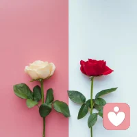 亲密关系最大的冲突来自于我们期待对方满足我们的需求。

如果我们能够学习满足自己的需求，尤其是内在对“关爱、呵护、认可”的需求，那么你的伴侣就是世界上最幸运的人，而你就是世界上最幸福的人。​​​​配图