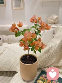 凡是你想控制的，其实都控制了你。我们是如此不自由的人，因为太想操控一切！​​​​配图