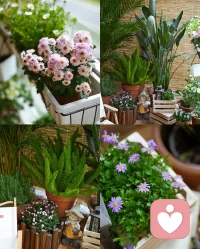 自体都在寻找客体，我永远都在寻找你。攻击性，可以理解为我在寻找你的时候自然产生的一种东西。特别在婴儿这里，攻击性是 “原始的爱的表达的一部分，最初的爱的冲动，具有一种破坏性，但破坏不是婴儿的目的，因为这个时候他还不知道什么是怜悯。”

当母亲能接住婴儿的攻击，这个时候母亲就与婴儿建立了联系，可以说婴儿的自体就找到了客体。而在关系中，一元关系里的攻击性变成二元关系中的热情。配图