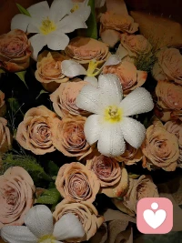 对自己的发现越深入，人就会变得越轻盈，每一次新的发现都让人感到自己的灵魂正在跳舞。

如果你的人生太过沉重了，源自于你对自己的发现，实在是太少啦，你看不见那些镣铐和负重，又如何去解开这些负重。

看不见自己的人，事实上就是把自己关进笼子里的人。配图