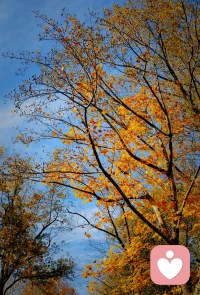 人的一生都在重复曾经有过的早年经历，哪怕这些经历是创伤的，让我们痛苦的，我们也需要这种熟悉的感觉来获得对生命的控制感。——曾奇峰​​​​配图