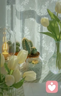 人生所遇见的各种问题，专注，可以解决掉其中的一半，觉察，则可以解决掉剩下来的另一半。

“专注”与“觉察”合并起来，就叫：当下。配图