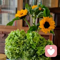 實際上，我們治療師本人，便是方法中的方法，技術(shù)中的技術(shù)。我們的理解與智慧，我們的胸懷與人格，更是所有臨床心理實踐的條件和基礎(chǔ)。
一申荷永配圖