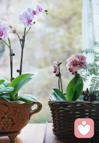 兩天憋了六千字論文，再堅持一下就完成了！真正投入做一件，“苦”中亦有樂！配圖