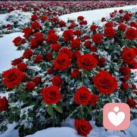 #單純地壓制負能量的表達，不能真正帶來正能量。#
沒有被馴服的攻擊性，不能單純壓抑著。單純壓抑、見不到光的攻擊性，會化身為“惡魔”，一旦壓抑不住了，開始像火山一樣噴發，那就會帶來巨大破壞。這種破壞性需要好的客體將其轉化，將黑色能量變成白色能量，從而讓你的生命更有活力！
如果你正為此困擾，歡迎找到我，一起聊聊……配圖