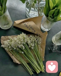 现实生活中，由于害怕破坏人际关系，太多人不能当面当时表达自己的怒火。一般采取延迟或迂回的方式。那么如何安全合理地表达不满才能既不伤害对方，也不伤害自己呢？

我认为其中一个原则是，多使用“我的感受是什么”这样的句式，而少说“你伤害了我”。如果你说“我很愤怒”，那就意味着在表达自己感受，而一旦说“你伤害了我”，就意味着在指责对方。
当然无论再怎么有技巧，表达攻击性时，可能难免会给对方带来伤害，这时候要看看这个关系是否能承受，甚至化解这份伤害，一旦关系中有一方能很好地做到承受并化解，那么两个人会看到攻击性就是生命力。配图